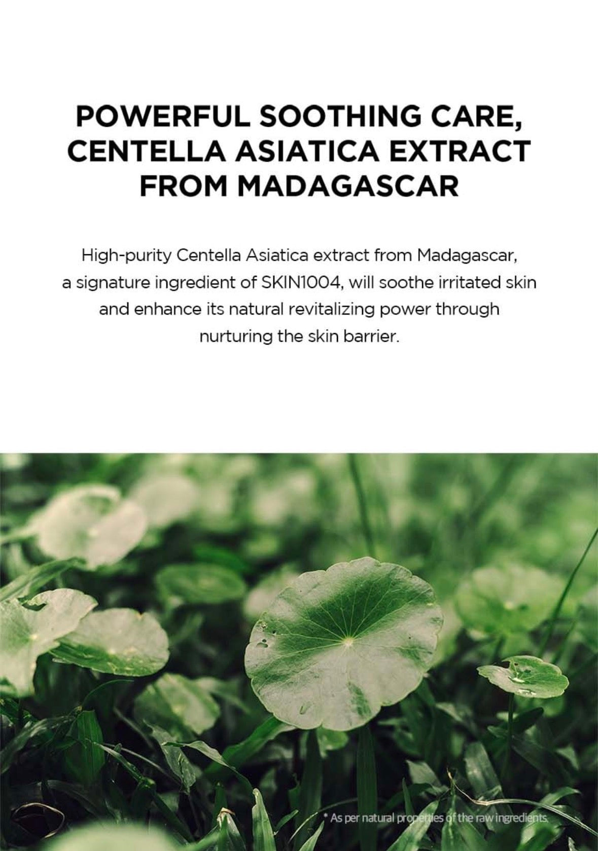 SKIN 1004 - Madagascar Centella Hyalu-Cica Water Fit Serum 50ml