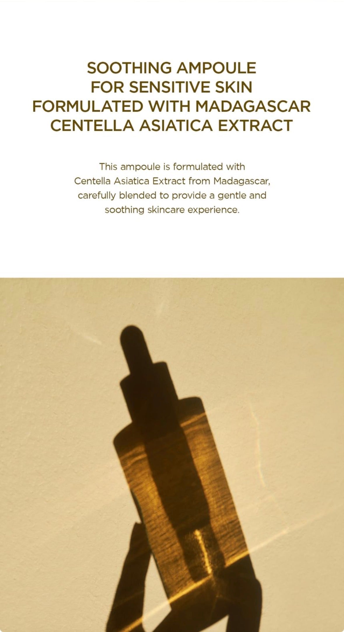 SKIN1004 - Madagascar Centella Asiatica 100 Ampoule 100ml